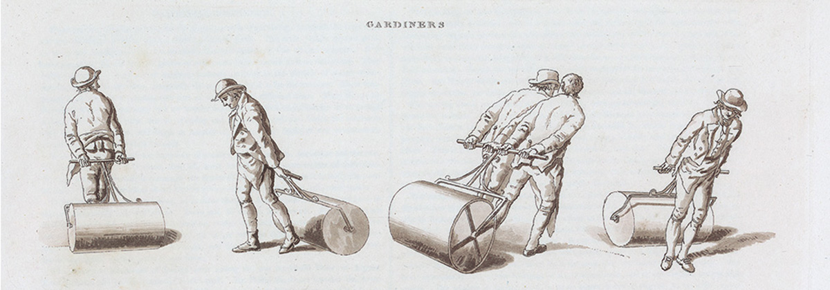 Historical illustration showing gardeners pulling a lawn roller.